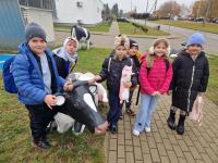 Zdjcie WhatsApp 2025-10-30 o 19.47.28_80b62455.jpg